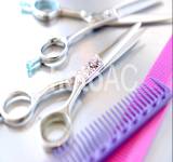 メニュー＆プライス