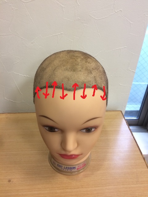 シャンプーの仕方