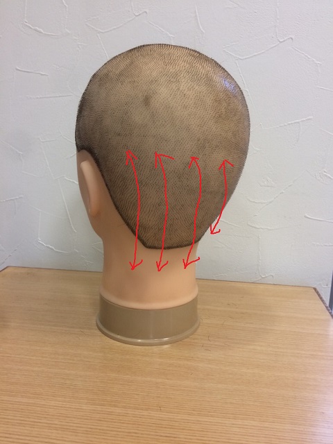 シャンプーの仕方